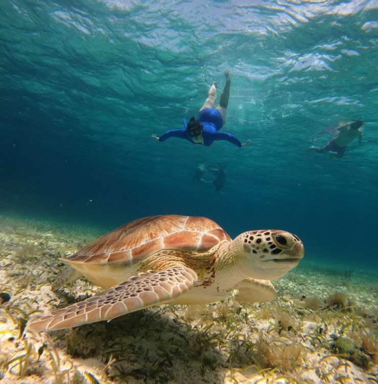Snorkeling
