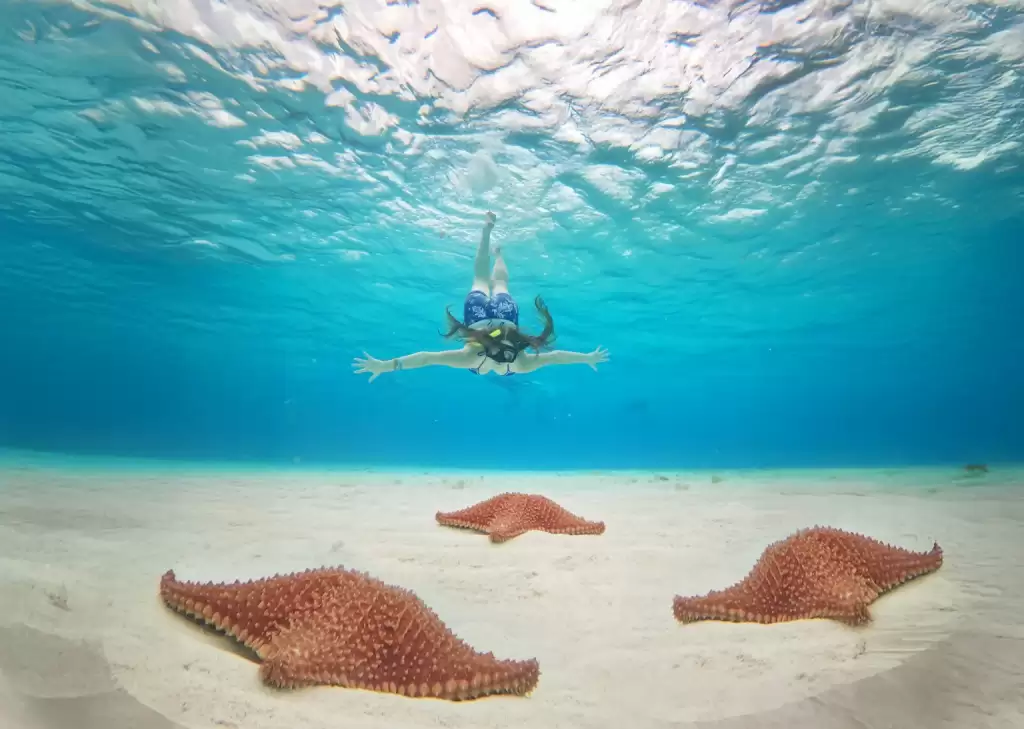 Starfish in clear turquoise water at El Cielo sandbar Cozumel