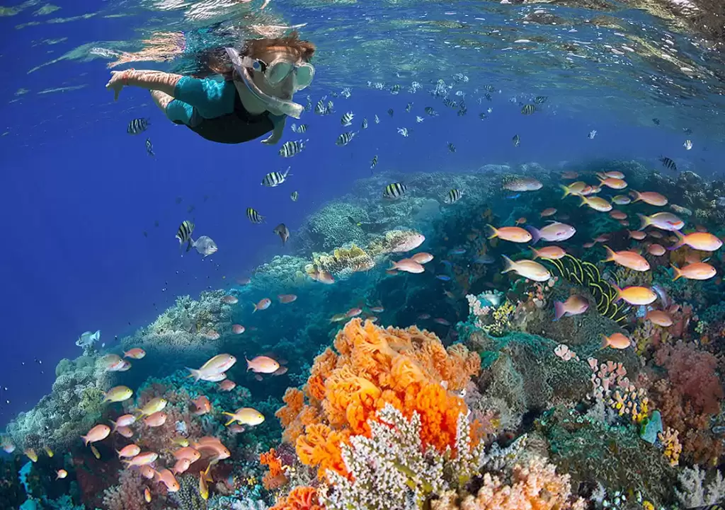 Diver exploring colorful coral at Columbia Reef in Cozume