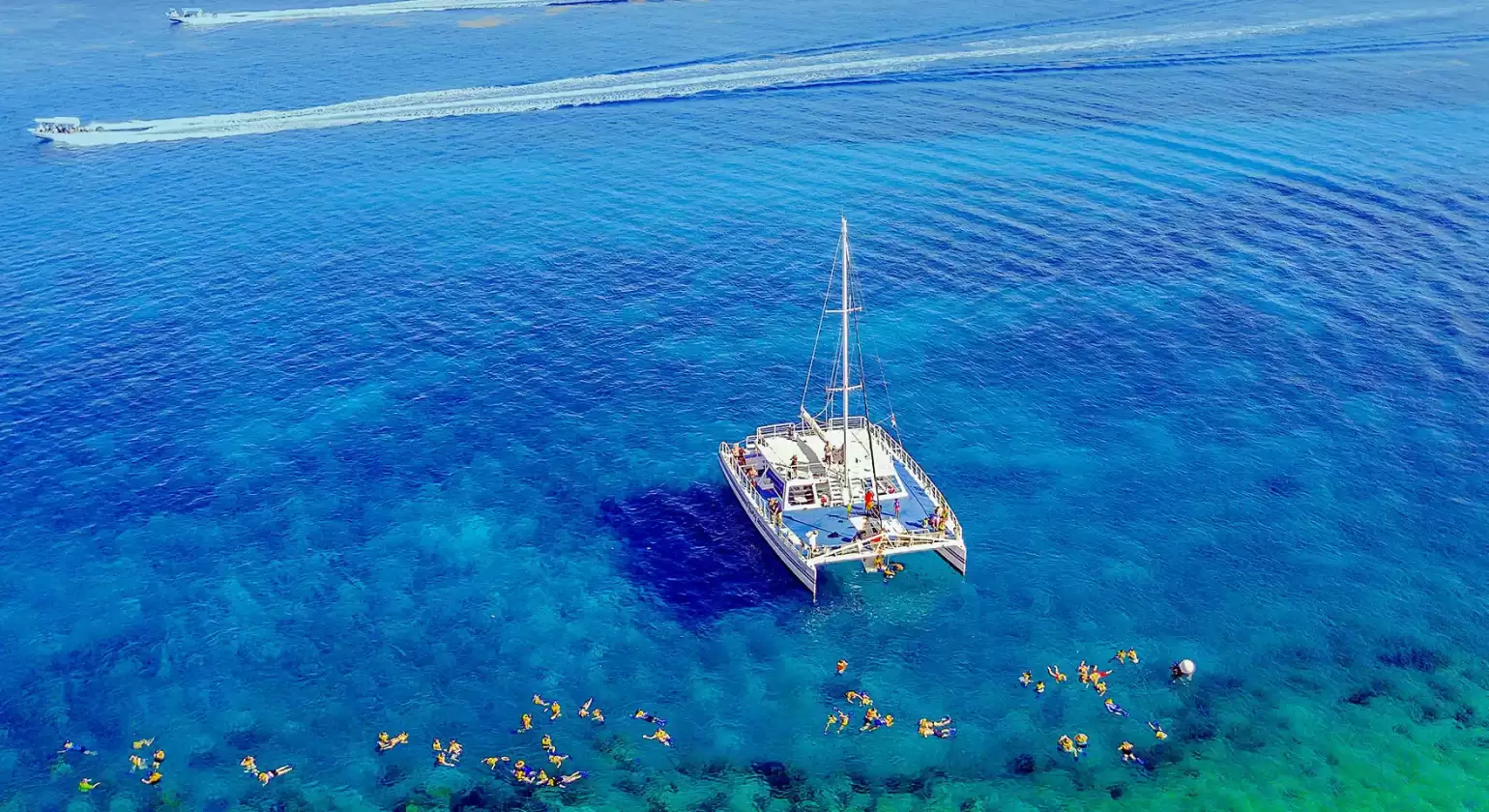 Fury Catamaran Tour for Cruises
