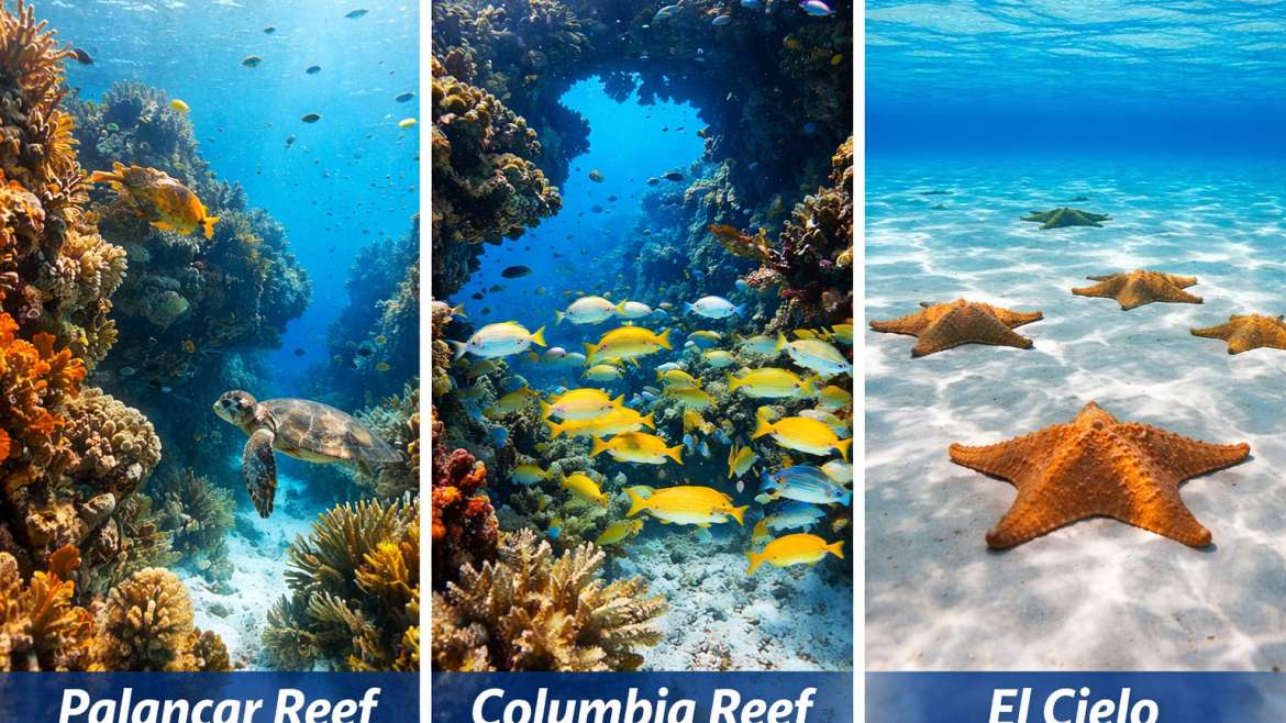 Best Snorkeling Boat Tours in Cozumel – Top Charters 2026