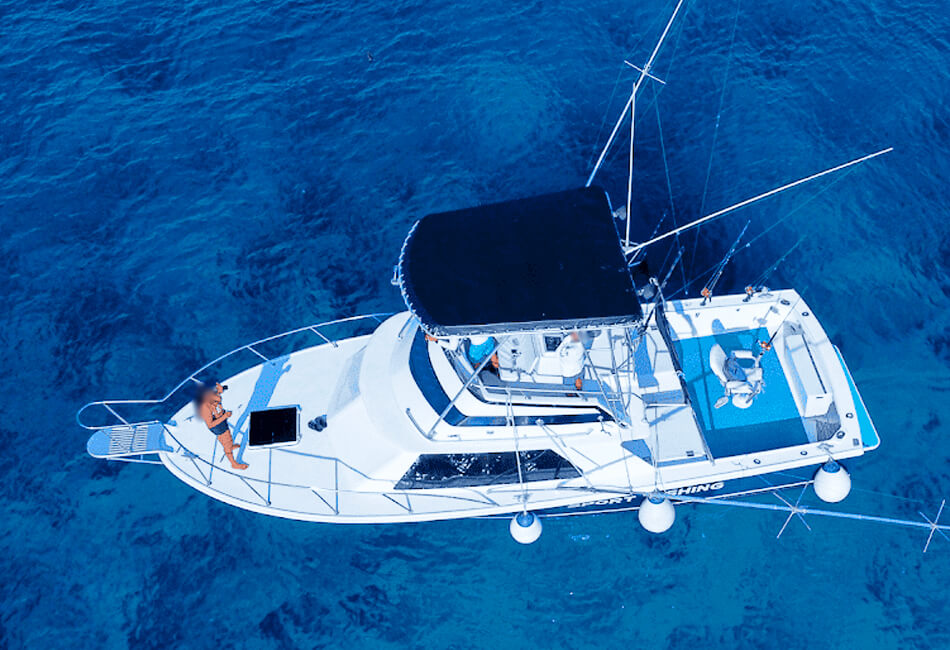 31 ft Cummins sportfisher Cozumel deep sea fishing charter