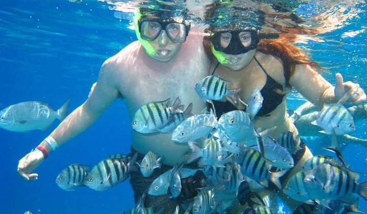 Cozumel Glass Bottom Snorkeling Tour | Coral Reef Adventure