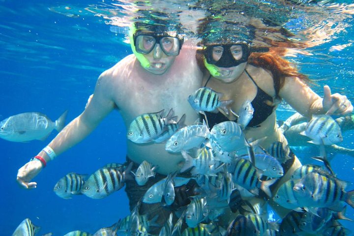 glass bottom boat snorkeling coral reef in Cozumel
