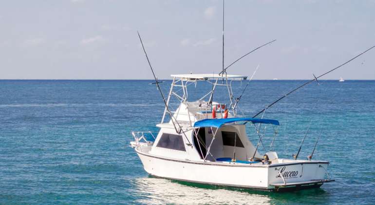 Deep Sea Fishing Cozumel | Lucero 35 Bertram Charter